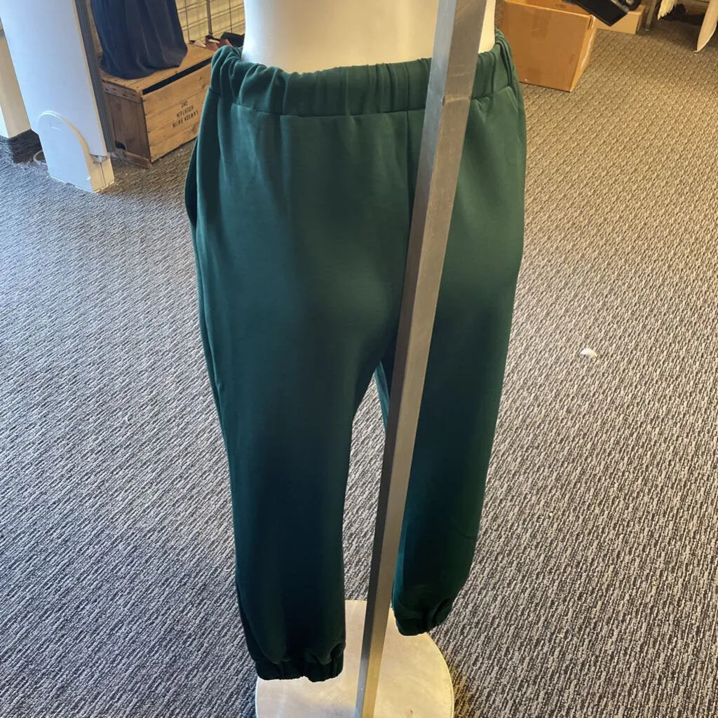 Blue Blush jogger style pants M