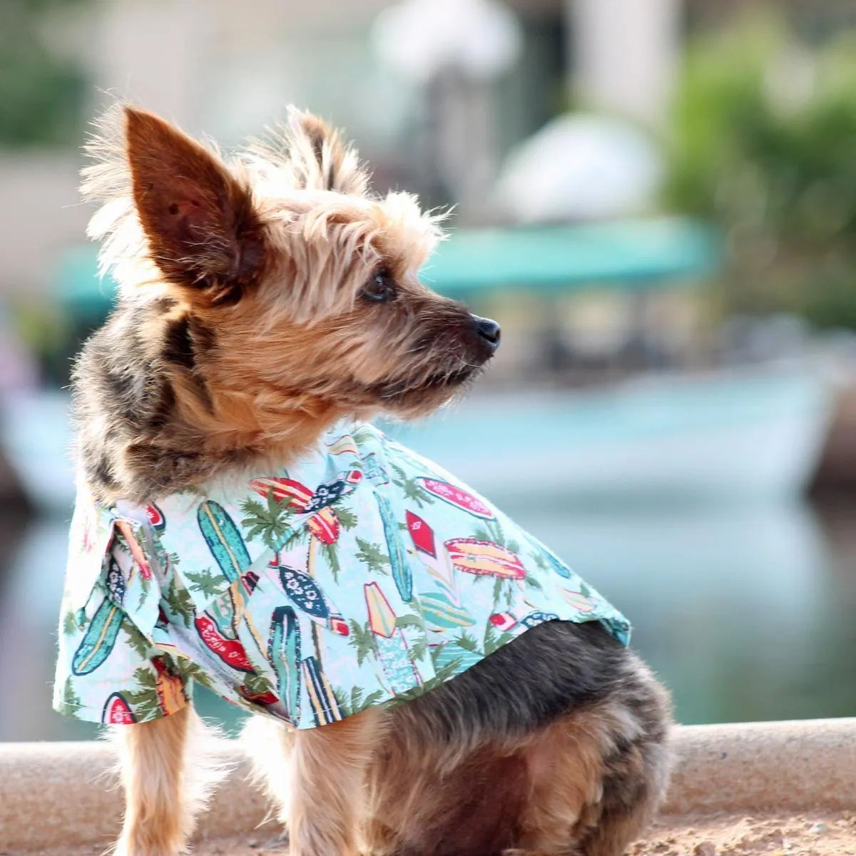 Hawaiian Dog Camp Shirt Surfboards And Palms