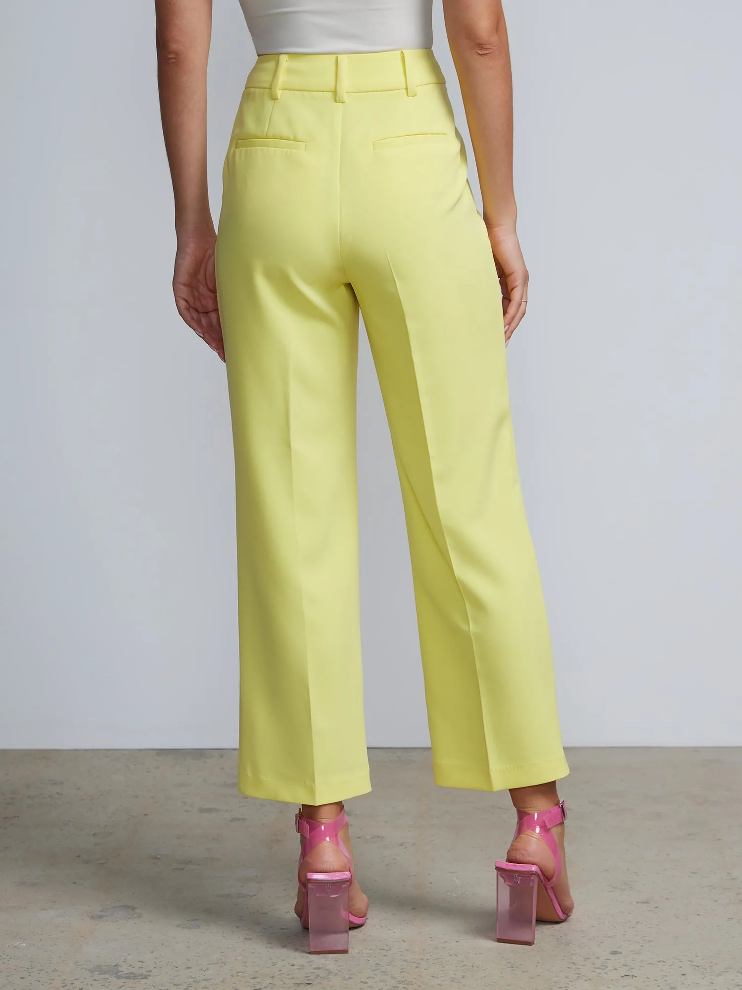 High Rise Pleated Trousers