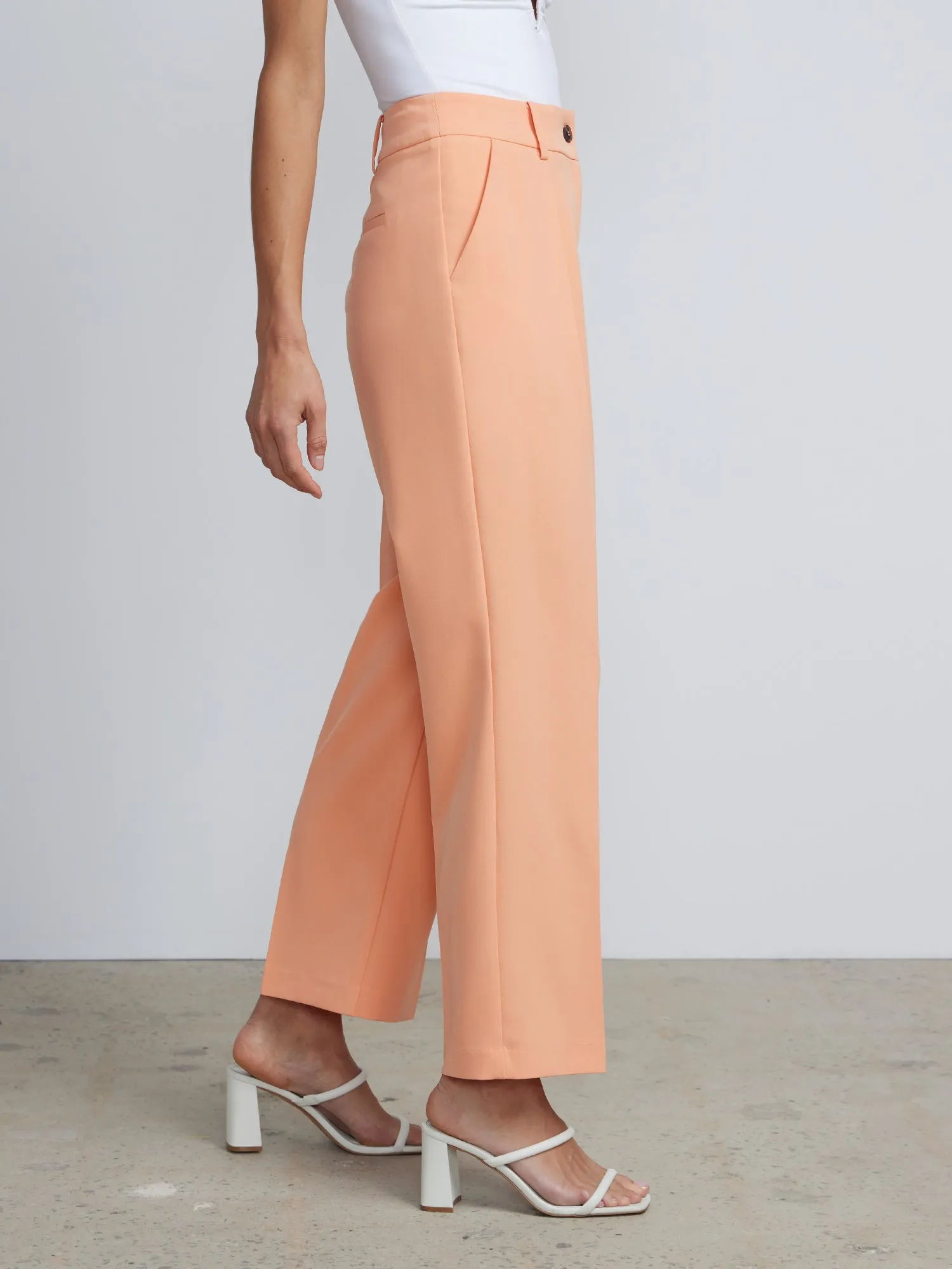 High Rise Pleated Trousers