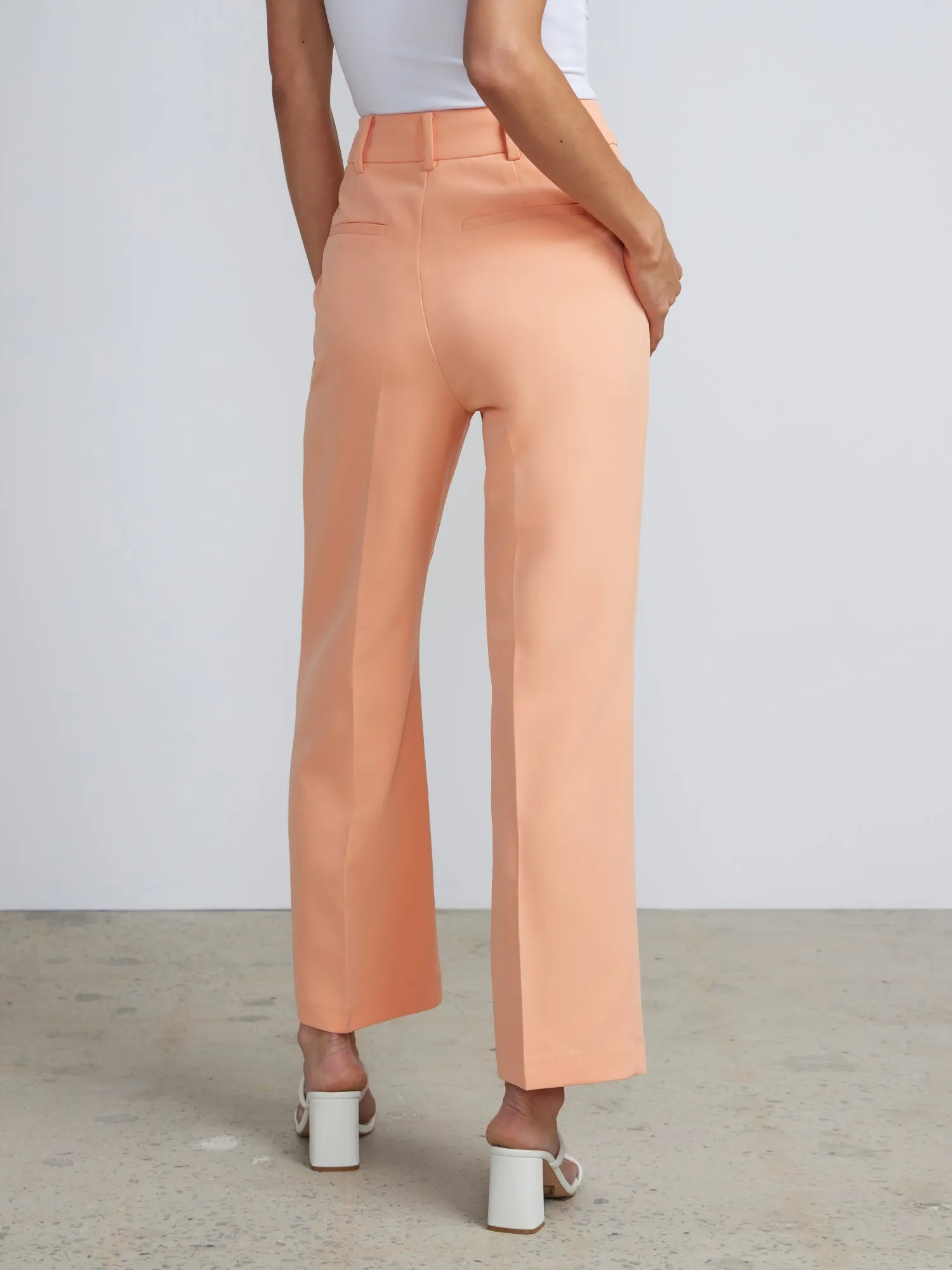 High Rise Pleated Trousers